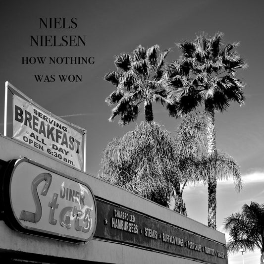 Niels Nielsen - How Nothing Was Won - 2014 - Digital Download